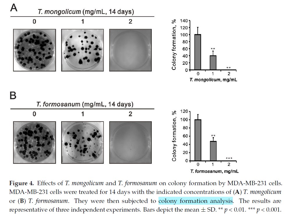 messageImage_1767773452234 messageImage_1767773452234