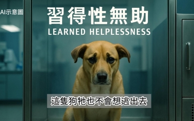 習得性無助
